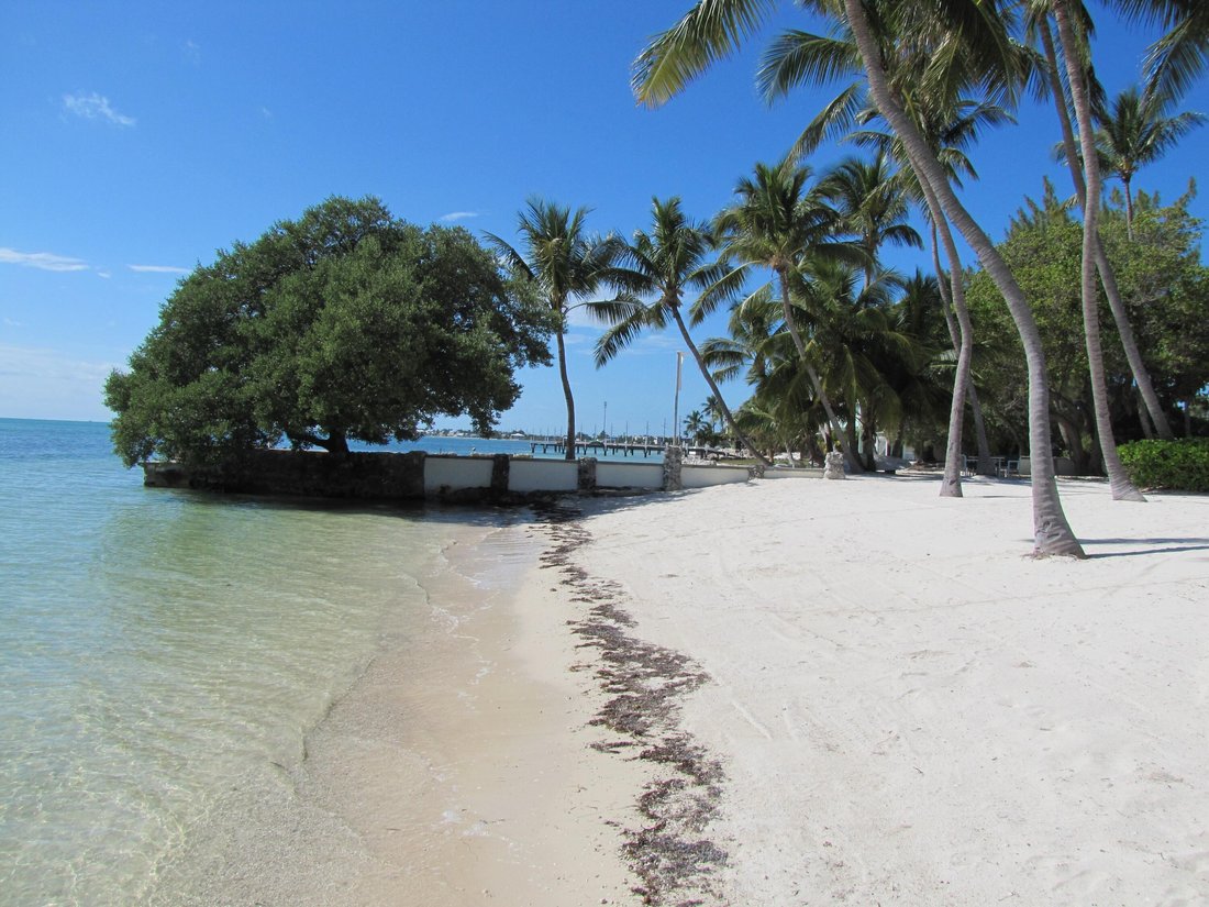 House in Islamorada, Florida, United States 2 - 17349279
