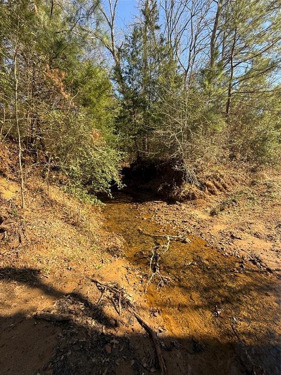 Land in Grapeland, Texas, United States 3 - 17349582