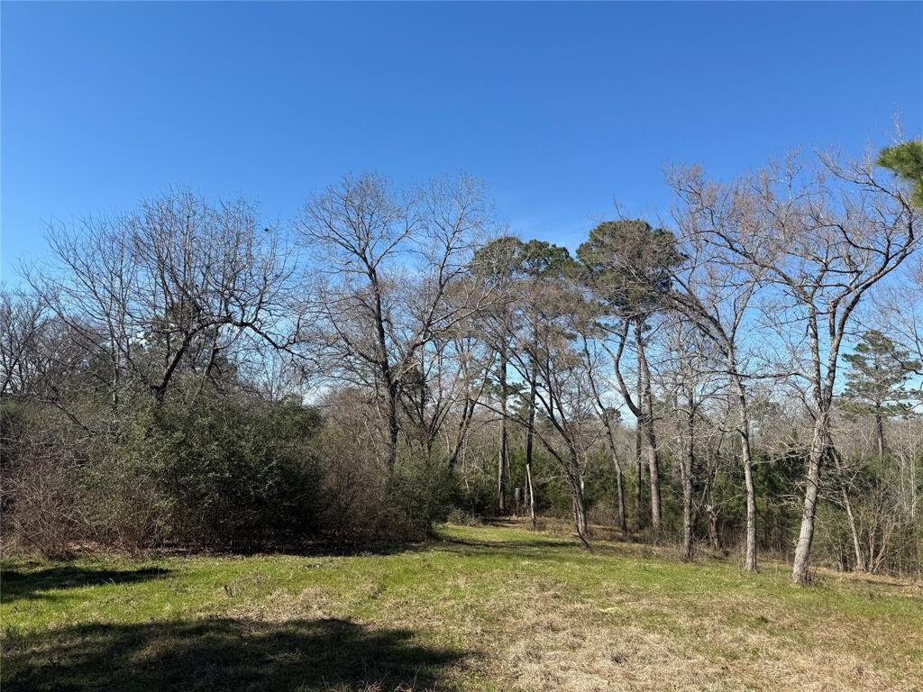 Land in Grapeland, Texas, United States 4 - 17349582