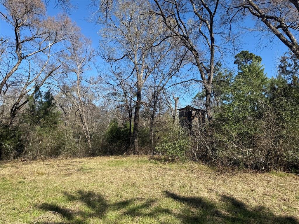 Land in Grapeland, Texas, United States 2 - 17349582