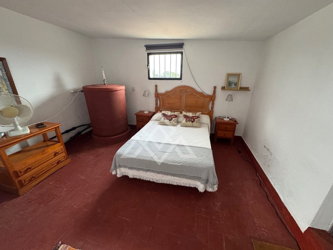 Finca in Estepona, Andalusia, Spain 5 - 17348979