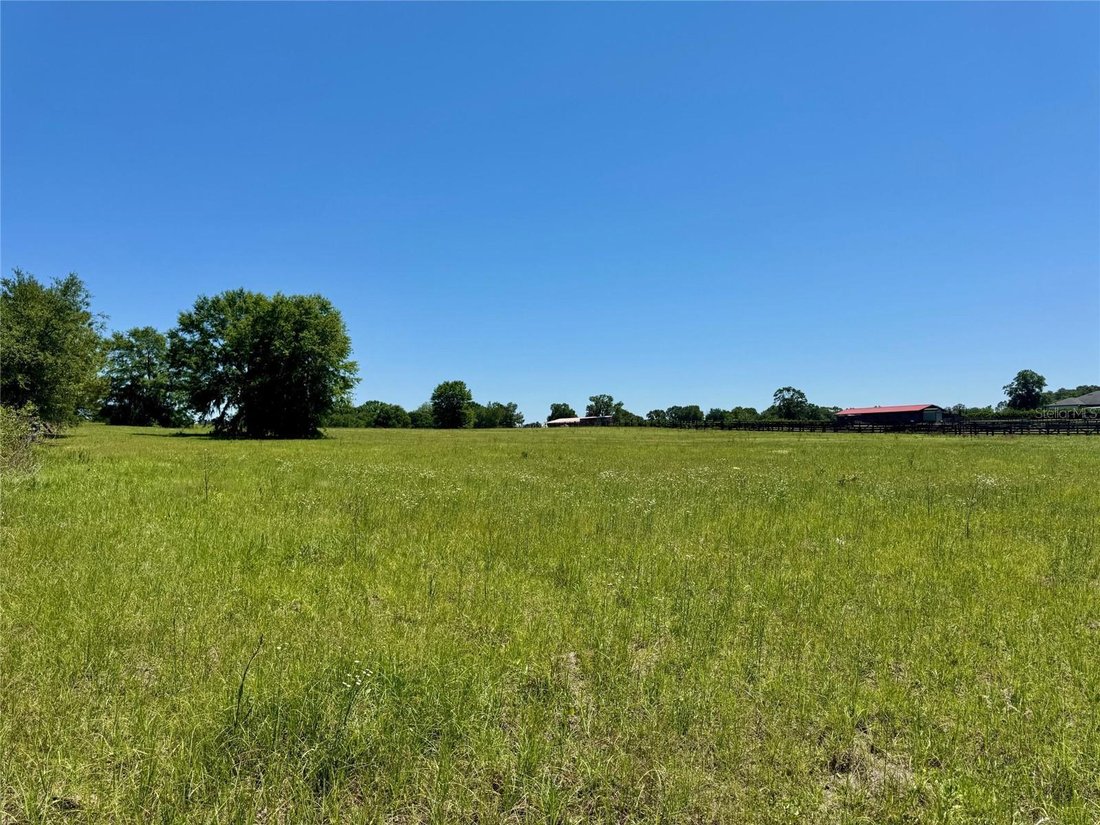 Land in Ocala, Florida, United States 2 - 17348129