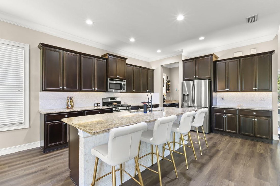 House in Lithia, Florida, United States 5 - 17354974