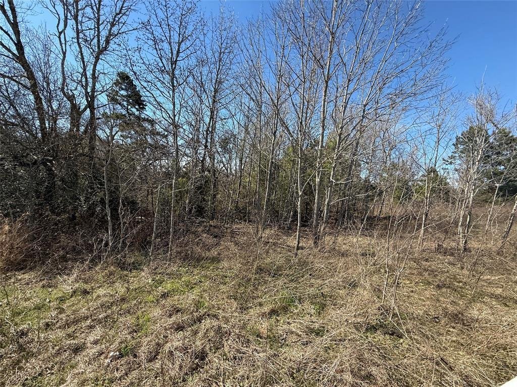 Land in Grapeland, Texas, United States 5 - 17349582