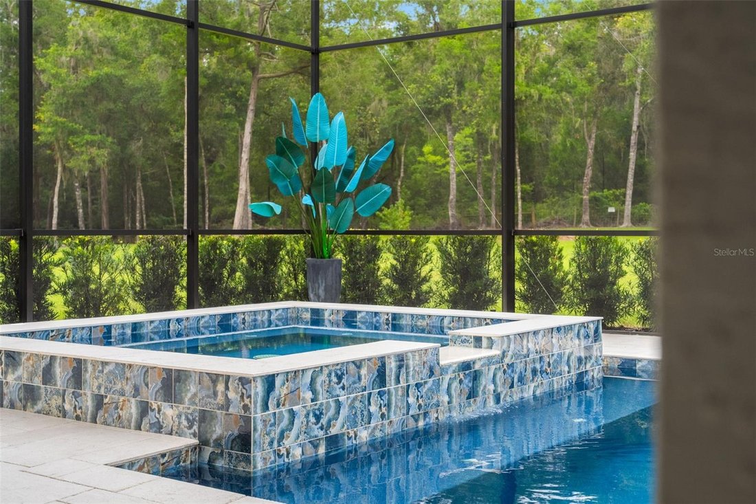 House in Homosassa, Florida, United States 5 - 17351548