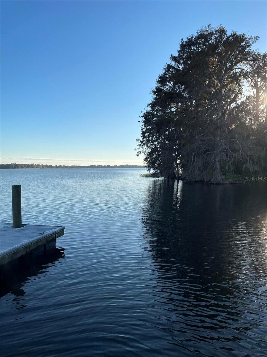 House in Tavares, Florida, United States 1 - 17351426