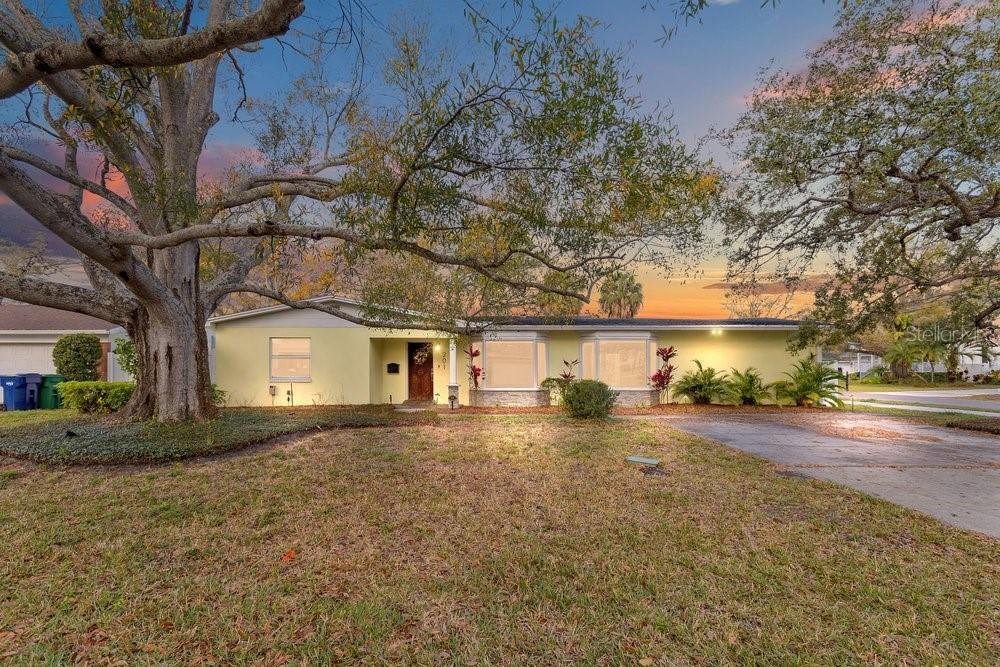 House in Tampa, Florida, United States 4 - 17354073