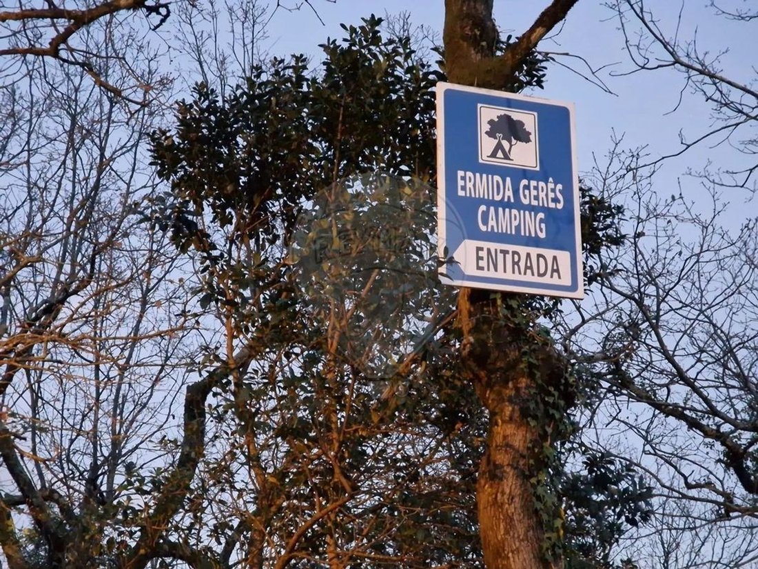 Land in Vilar da Veiga, Braga, Portugal 4 - 17353995