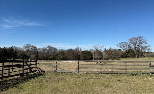 Land in Grapeland, Texas, United States 1