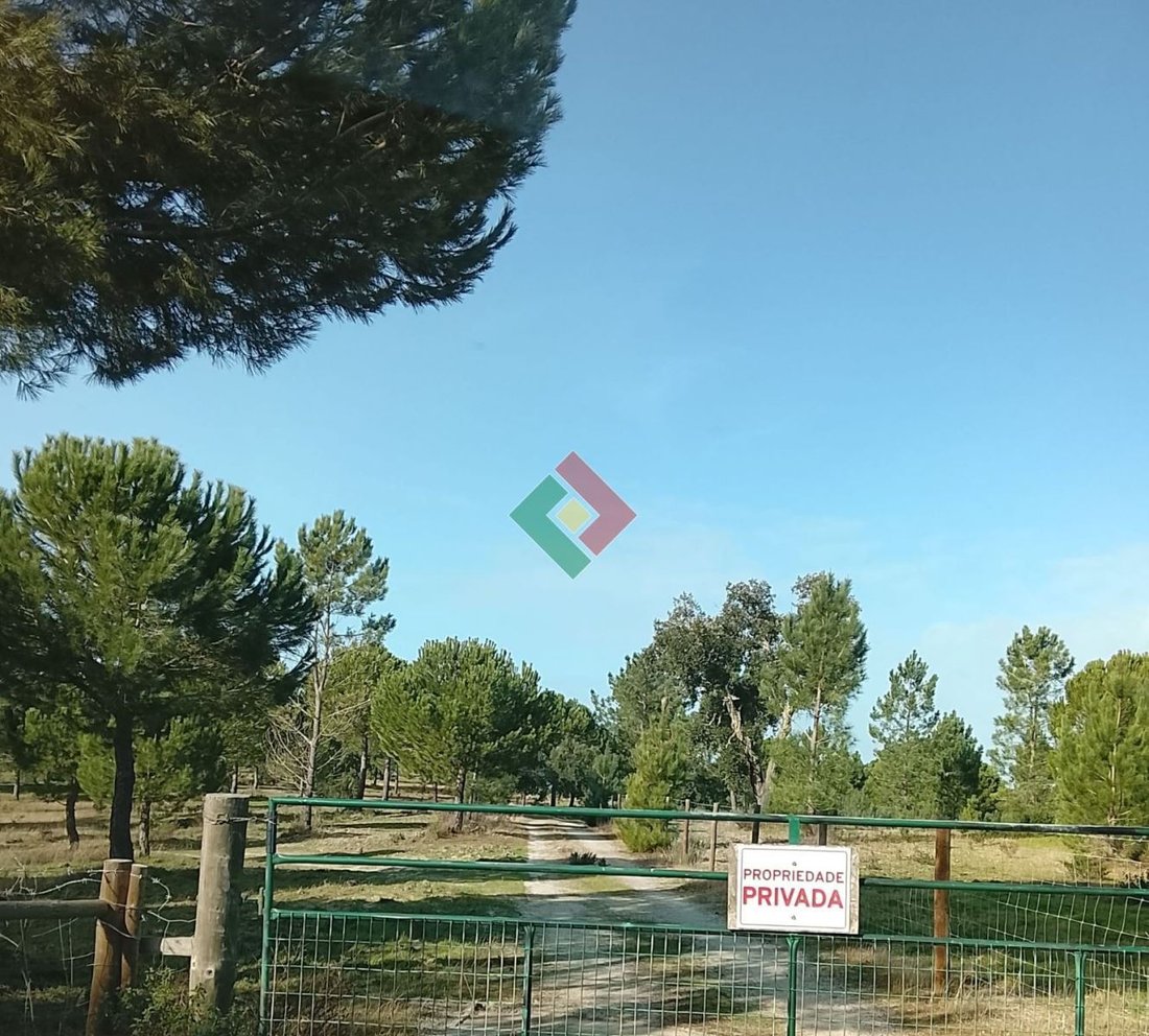 Terreno en Montargil, Distrito de Portalegre, Portugal 3 - 17354245