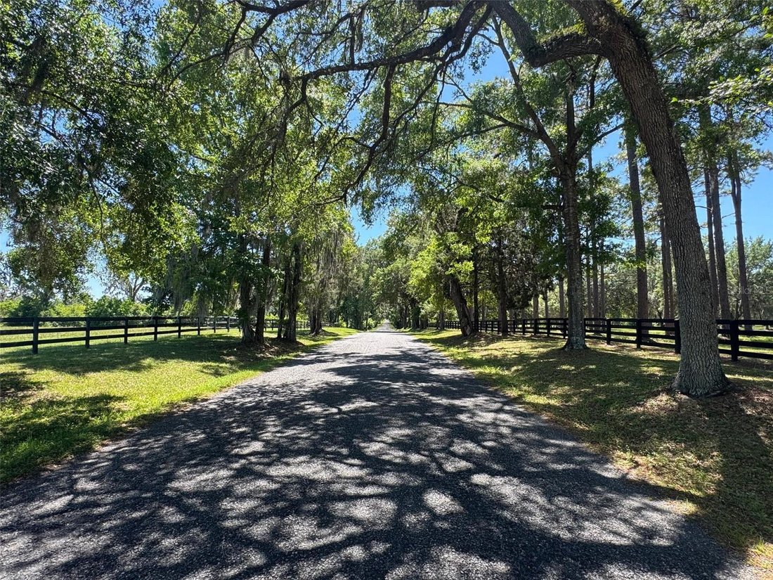 Land in Ocala, Florida, United States 5 - 17348129