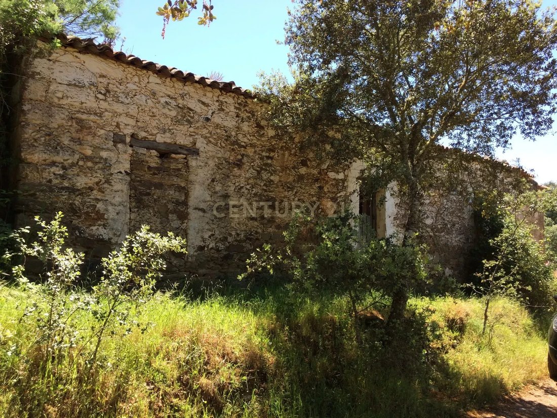 Farm Ranch in Sao Martinho das Amoreiras, Beja District, Portugal 1 - 17352455