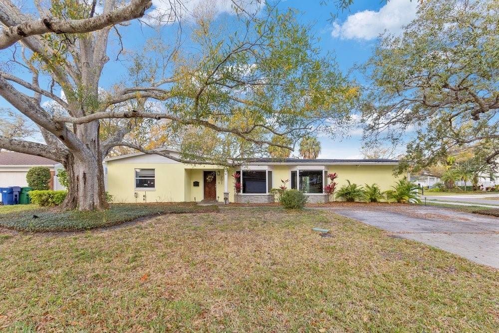 House in Tampa, Florida, United States 1 - 17354073