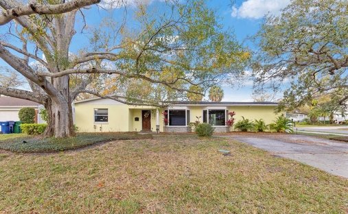House in Tampa, Florida, United States 1
