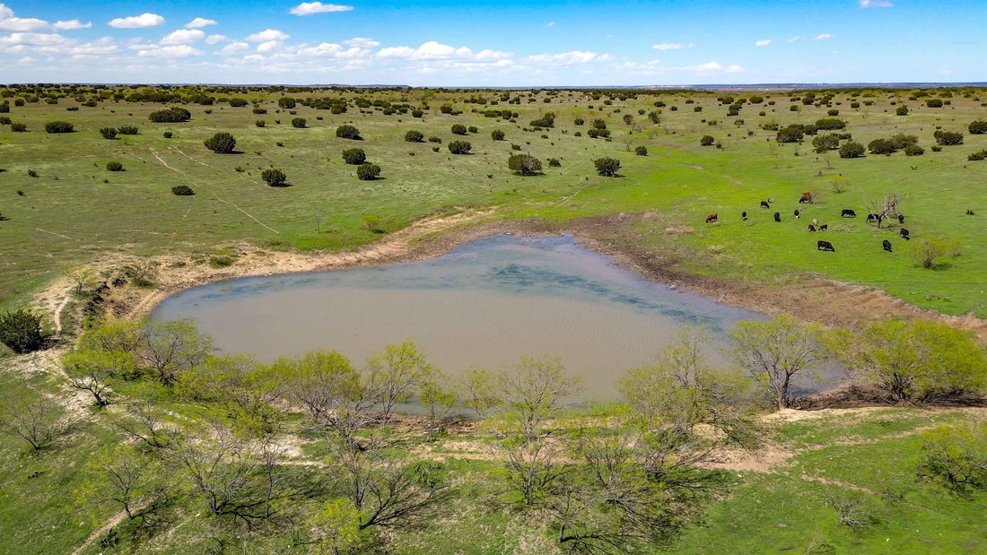 Farm Ranch in Lometa, Texas, United States 1 - 17351162