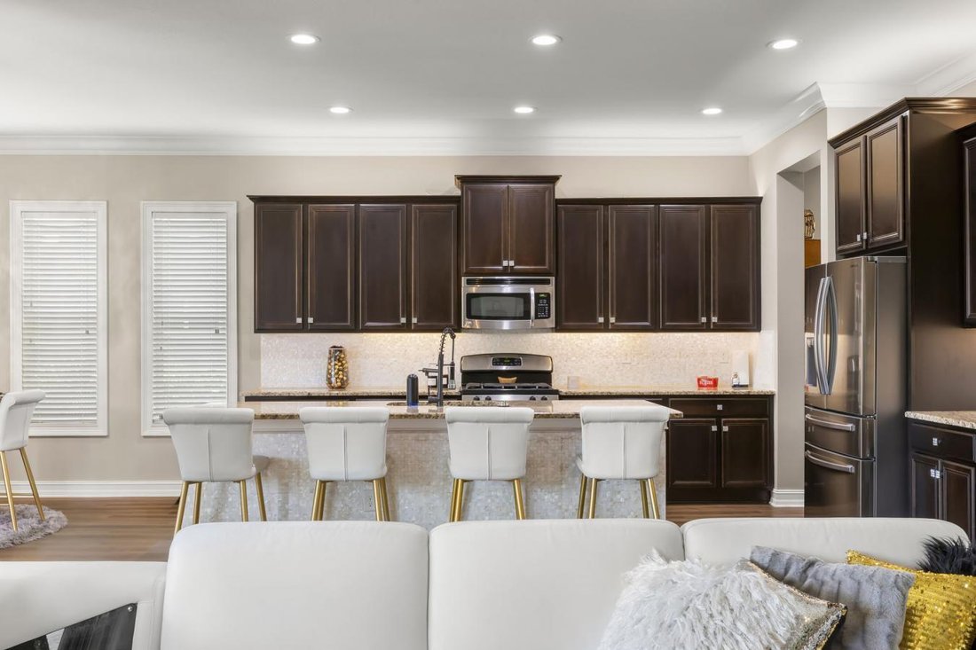 House in Lithia, Florida, United States 4 - 17354974