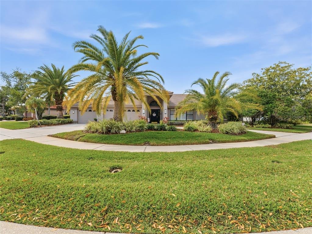 House in Tampa, Florida, United States 3 - 17356030