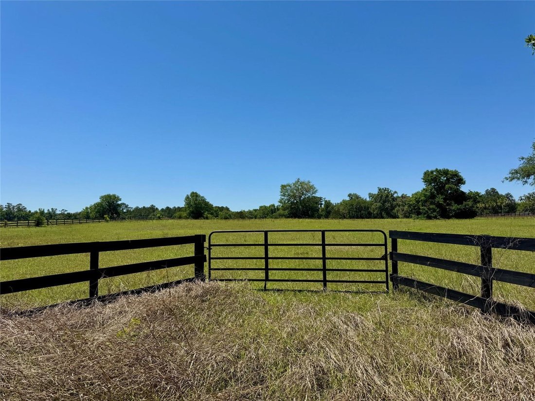Land in Ocala, Florida, United States 3 - 17348129