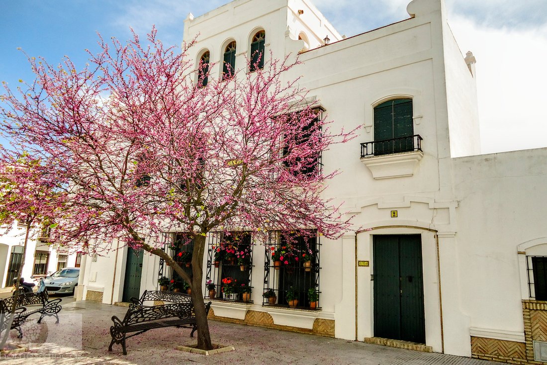 House in Ayamonte, Andalusia, Spain 3 - 17355013