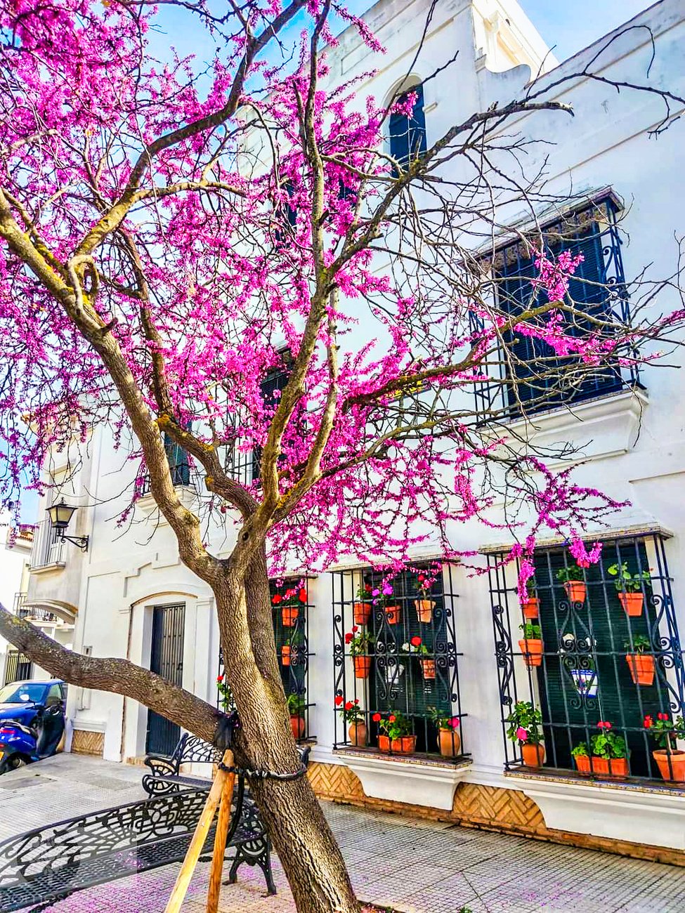 House in Ayamonte, Andalusia, Spain 4 - 17355013