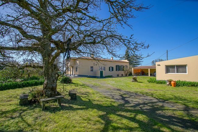 Estate in Faja de Baixo, Azores, Portugal 1 - 17356521