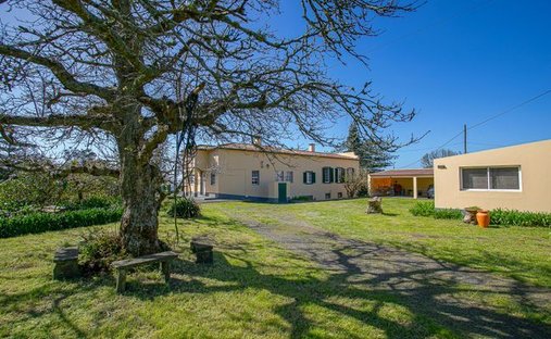 Domaine à Fajã de Baixo, Açores, Portugal 1