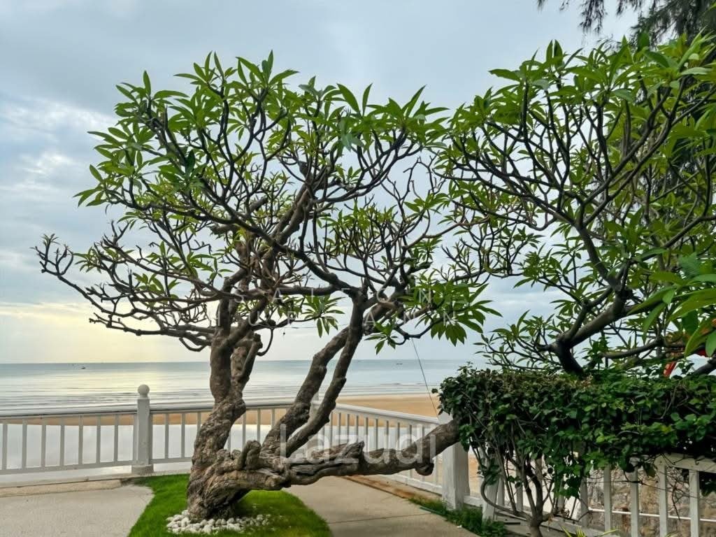 Condo in Hua Hin, Prachuap Khiri Khan, Thailand 5 - 17369452