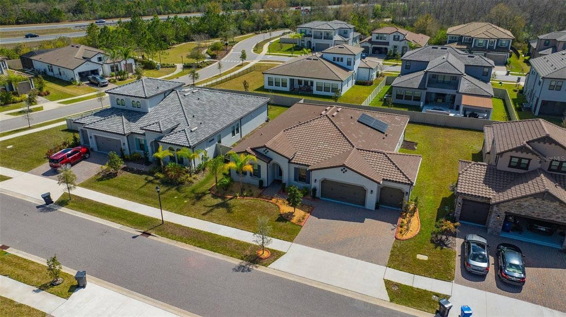 House in Odessa, Florida, United States 3 - 17359254
