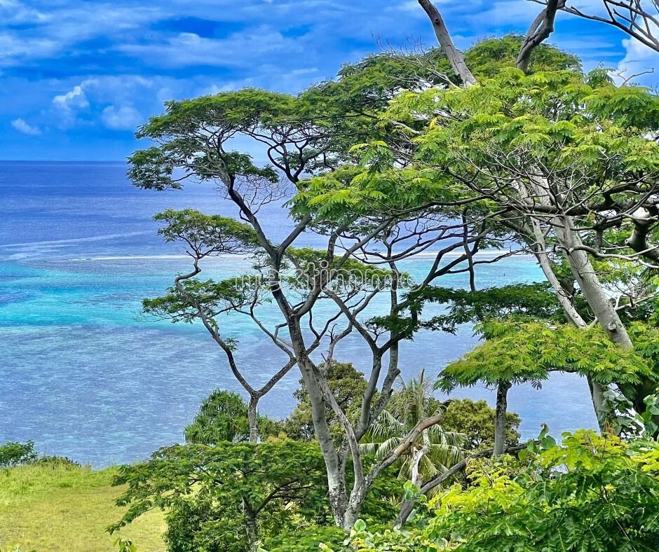 Land in Moorea-Maiao, Windward Islands, French Polynesia 2 - 17367716