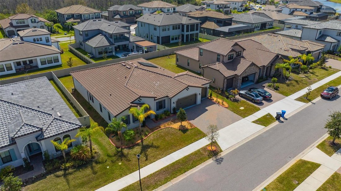 House in Odessa, Florida, United States 5 - 17359254