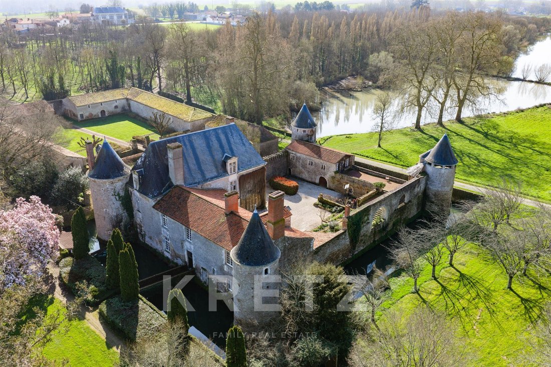 Castello a La Réorthe, Paesi della Loira, Francia 2 - 15250763