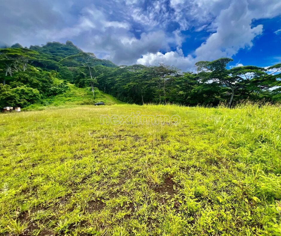 Land in Moorea-Maiao, Windward Islands, French Polynesia 5 - 17367716