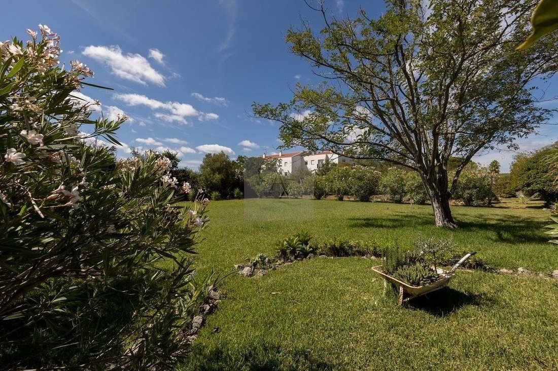 Farm Ranch in Alcabideche, Lisbon, Portugal 4 - 17002734