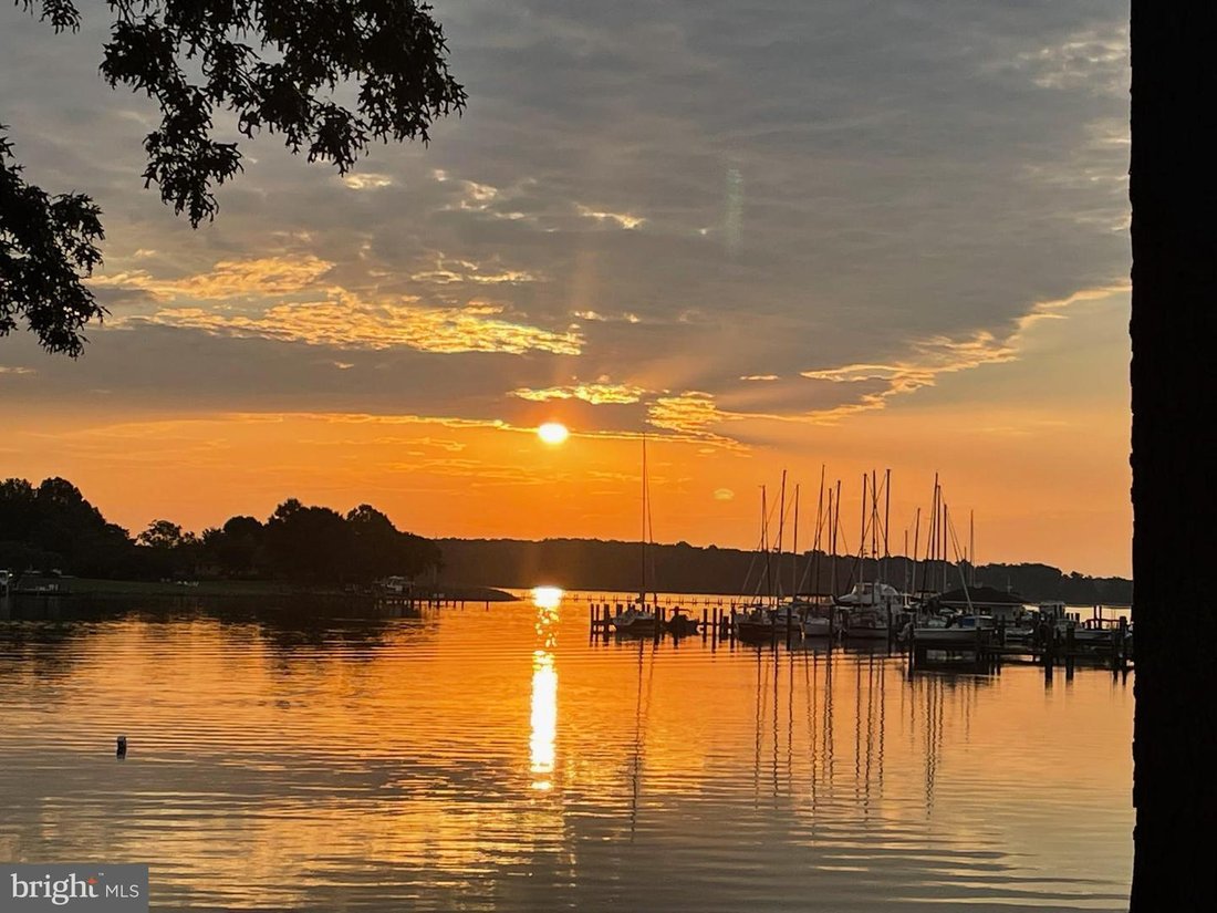 House in Saint Michaels, Maryland, United States 4 - 17368436