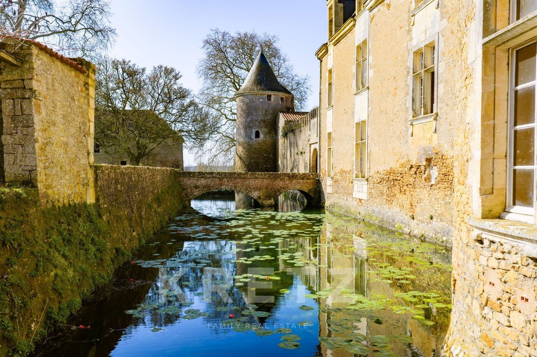 Castello a La Réorthe, Paesi della Loira, Francia 4 - 15250763