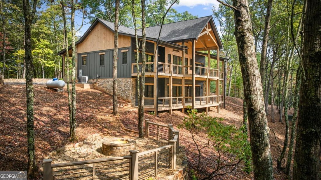 House in Mineral Bluff, Georgia, United States 1 - 17363479