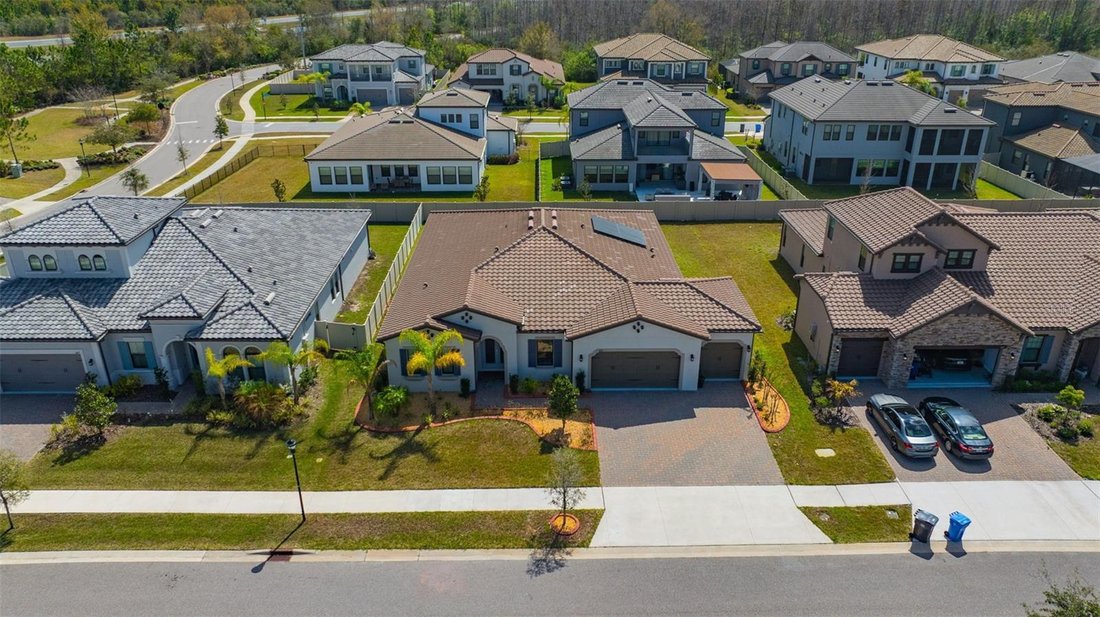 House in Odessa, Florida, United States 4 - 17359254