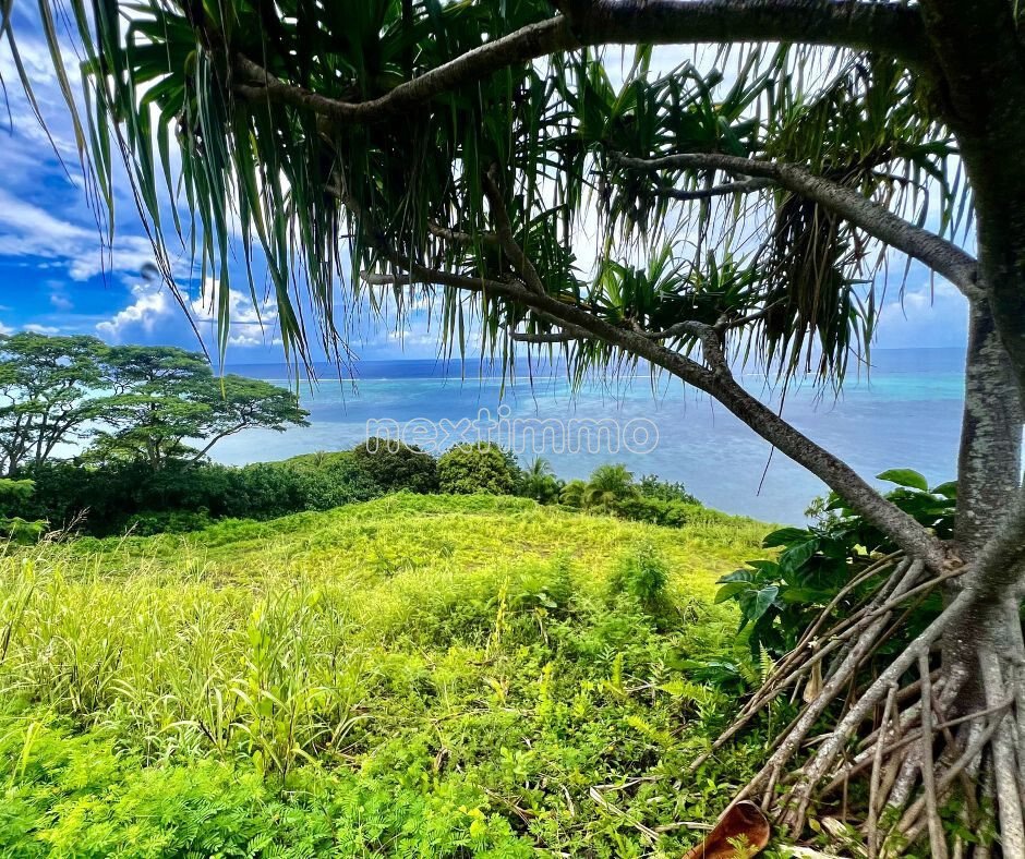 Land in Moorea-Maiao, Windward Islands, French Polynesia 4 - 17367716