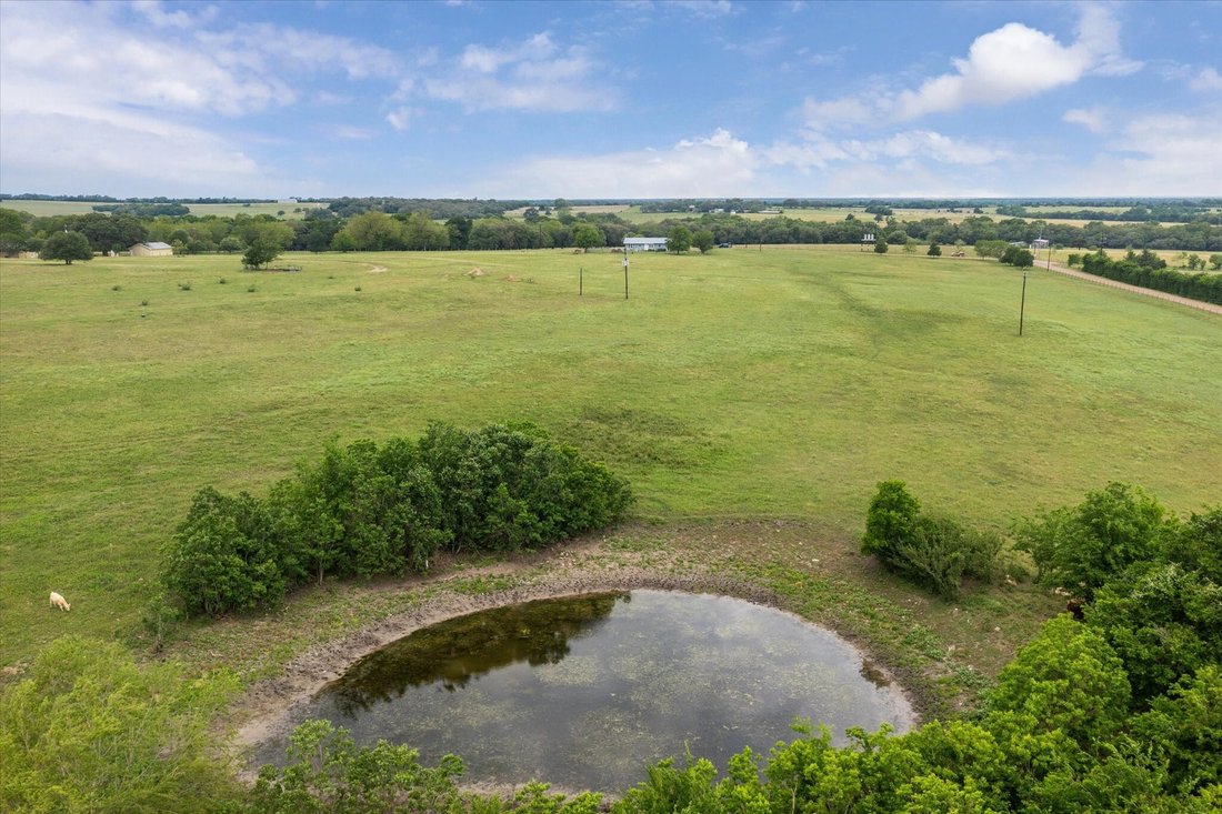 Azienda agricola a Round Top, Texas, Stati Uniti 2 - 17364989