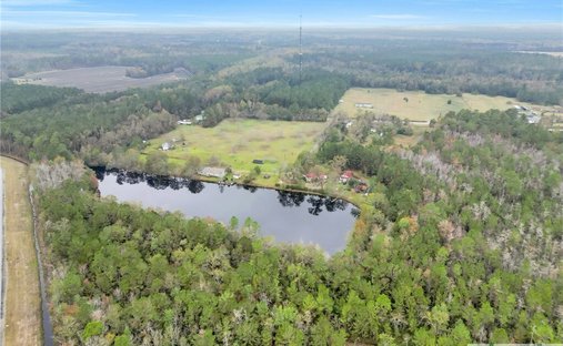 Farm Ranch in Pembroke, Georgia, United States 1