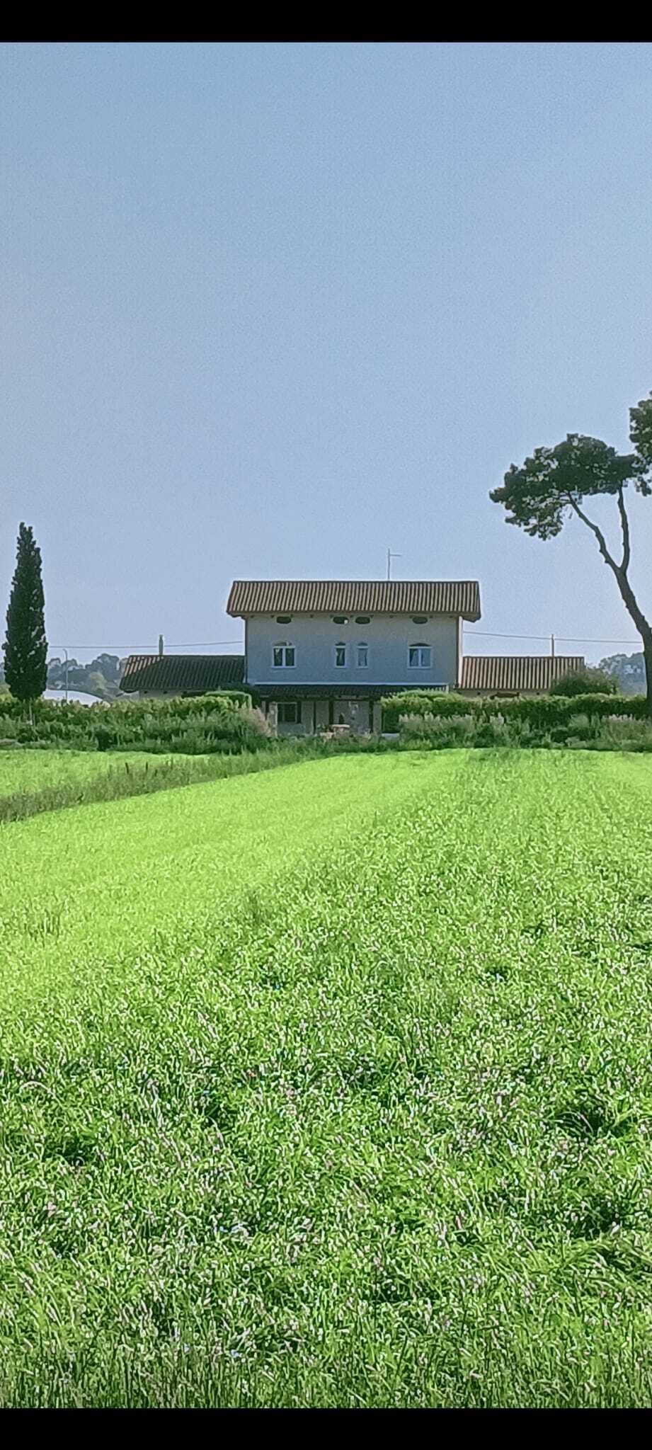 House in Paestum, Campania, Italy 4 - 17365298