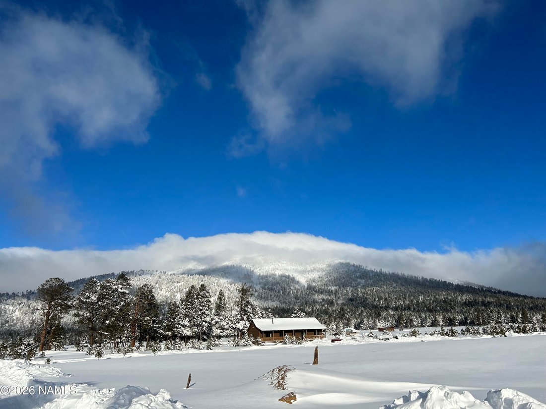 House in Flagstaff, Arizona, United States 4 - 17369576