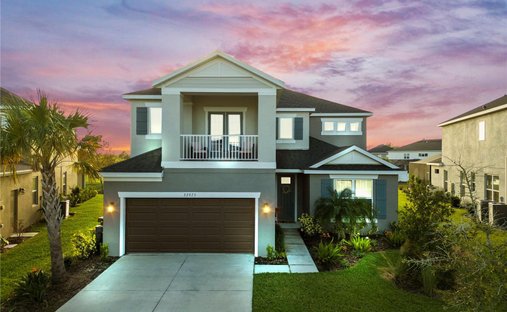 House in Wesley Chapel, Florida, United States 1