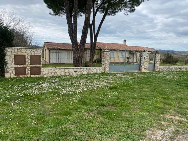 Magliano in Toscana, Tuscany, Italy 4 - 17361629