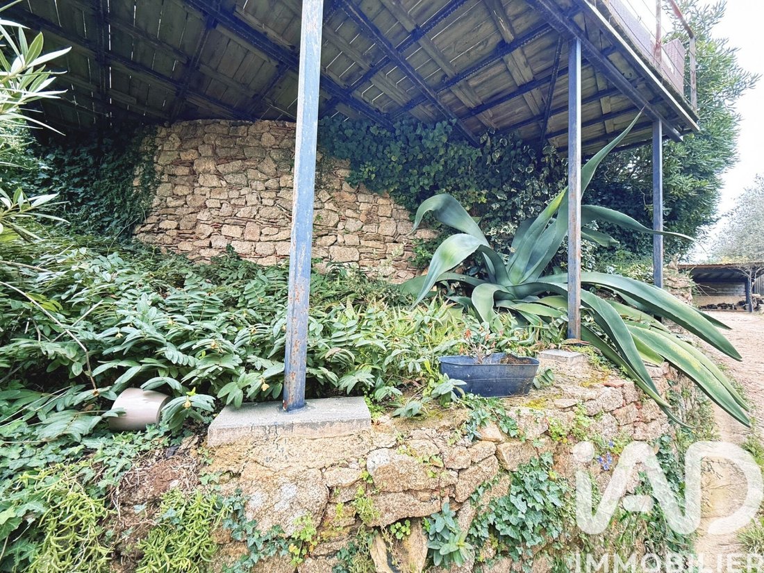 House in La Garde-Freinet, Provence-Alpes-Côte d'Azur, France 4 - 17340697