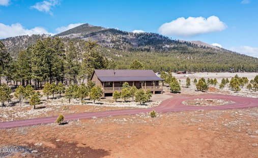 House in Flagstaff, Arizona, United States 1
