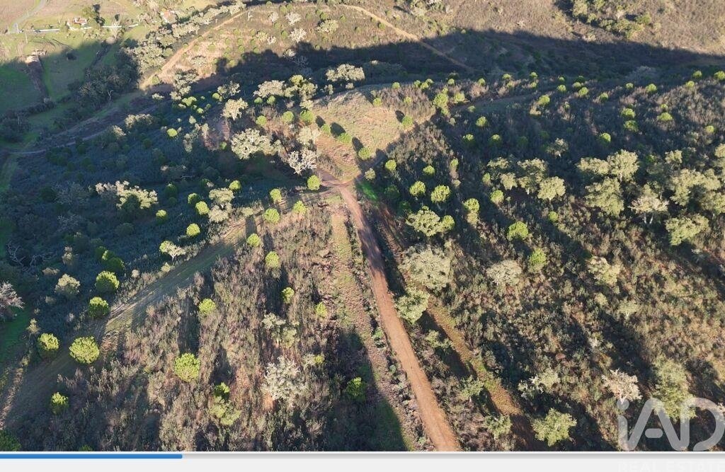 Land in Santa Clara-a-Velha, Beja, Portugal 5 - 17364440
