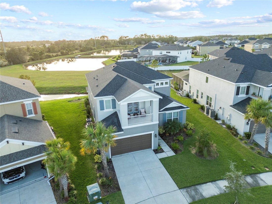 House in Wesley Chapel, Florida, United States 3 - 17367251