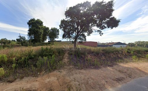 Land in Madalena, Porto District, Portugal 1