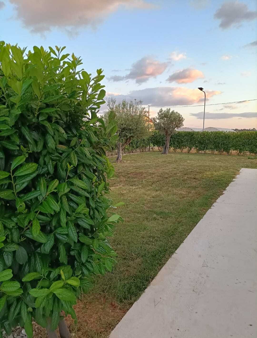 House in Paestum, Campania, Italy 5 - 17365298